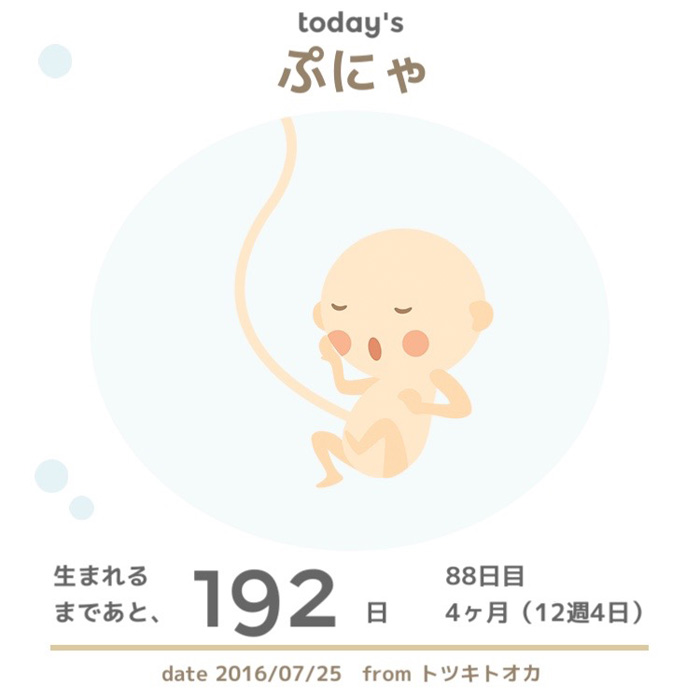 生まれるまであと192日