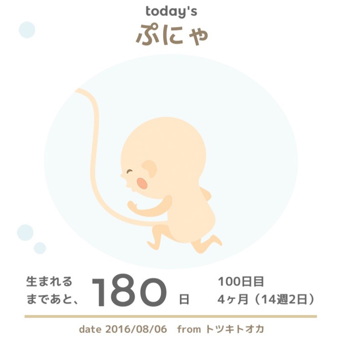 生まれるまであと180日